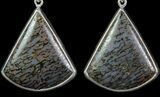 Blue Agatized Dinosaur Bone (Gembone) Earrings & Pendant Set #69973-4